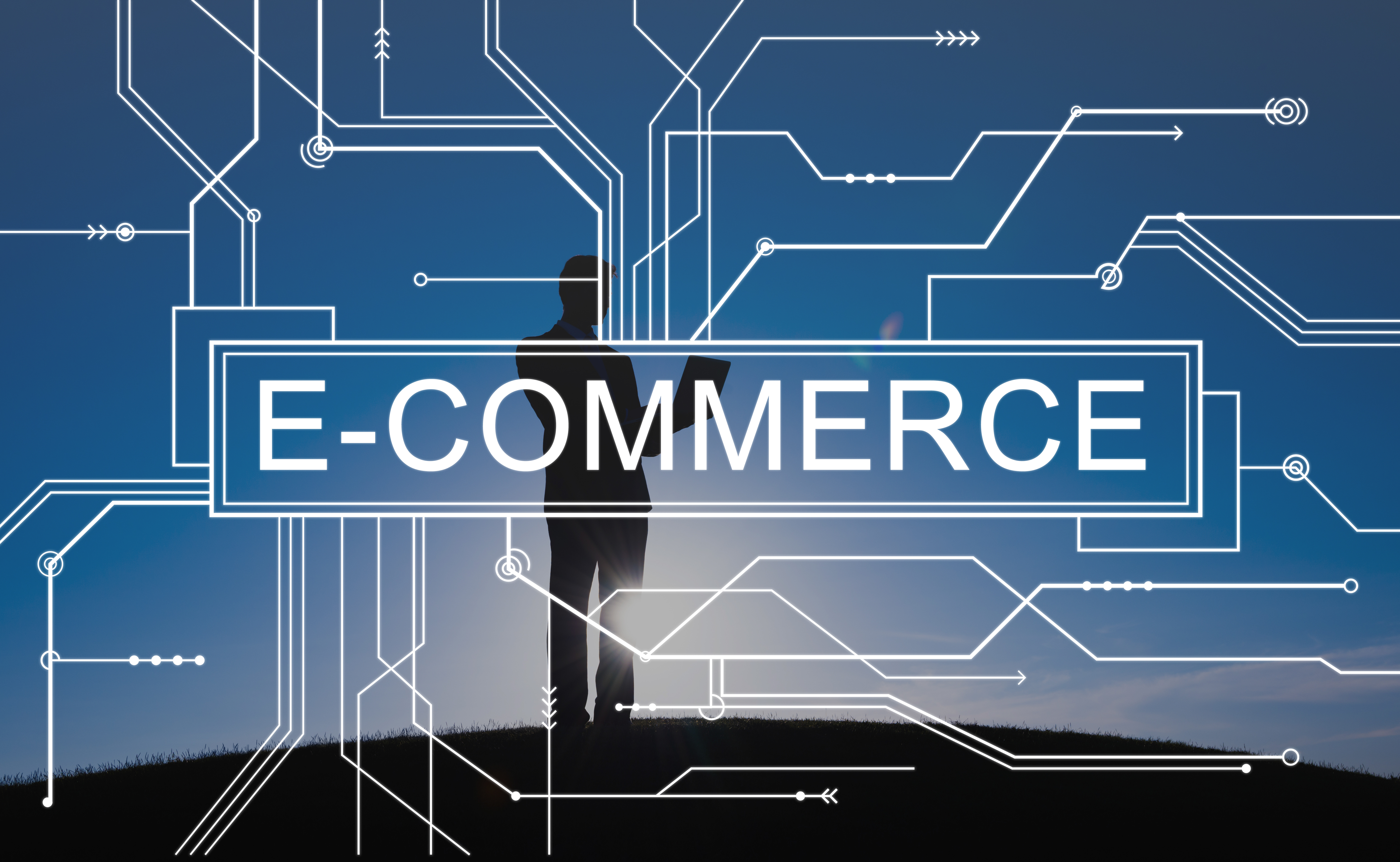 Szkolenie „E-commerce – własna tarcza antykryzysowa”